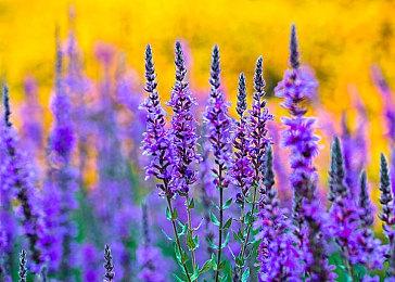 《灵魂骇客2》最新宣传影片现已公开！