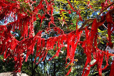 Game Pass大改版：引入基础和高级版 终极版涨价50%